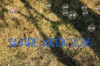 SHARE WEEK 2016