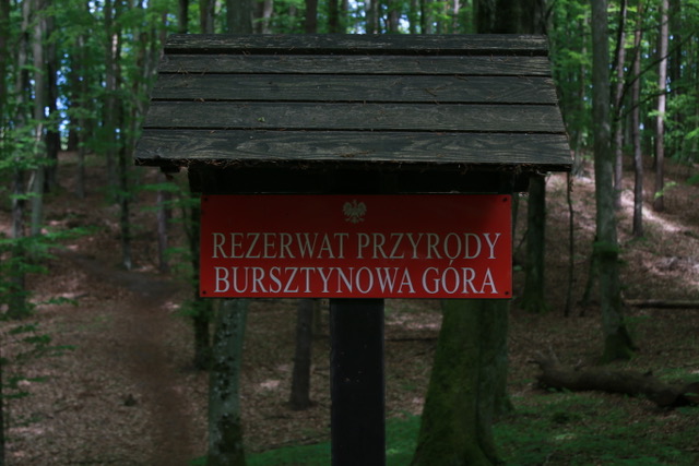 Rezerwat Bursztynowa Góra