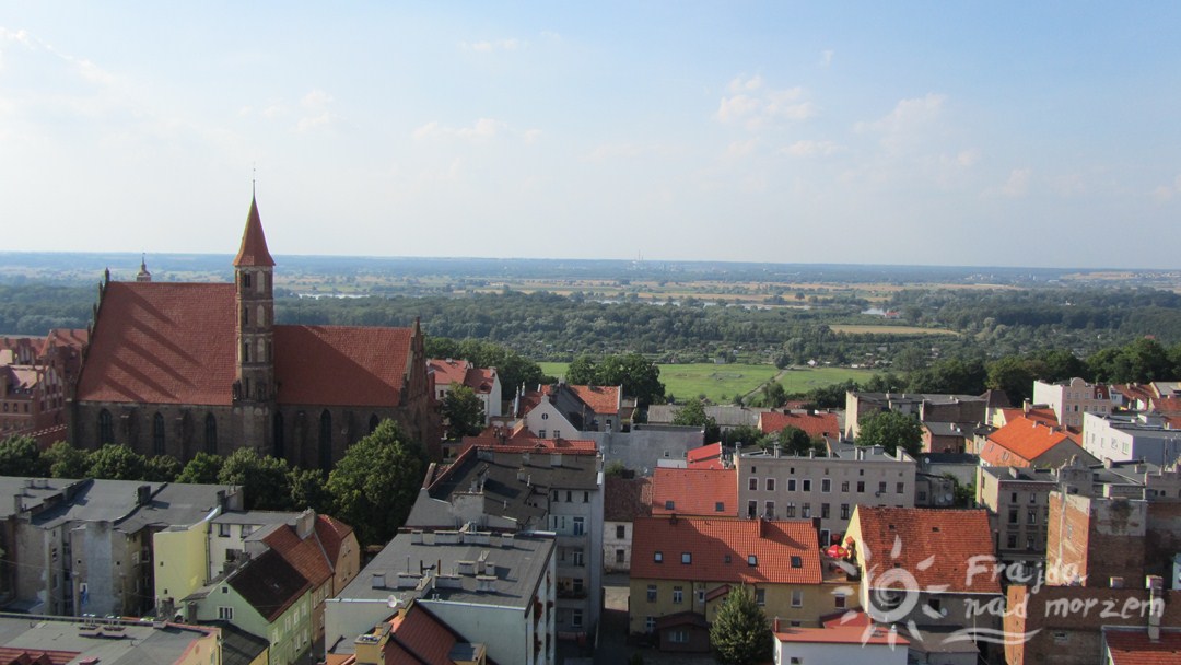 Widok z wieży