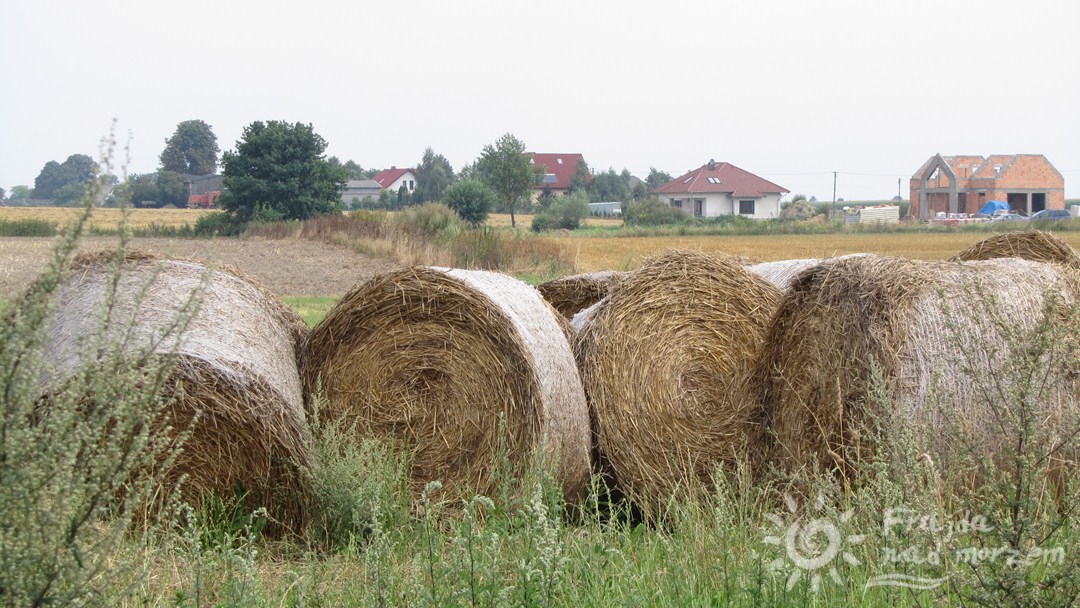 Droga na Górę św. Wawrzyńca