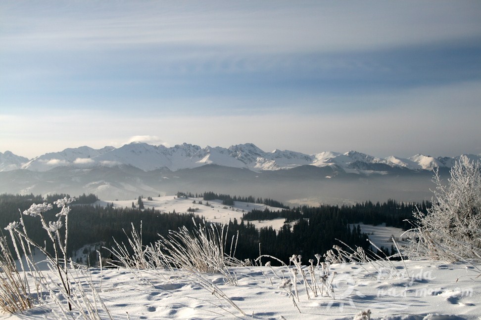 Widoki