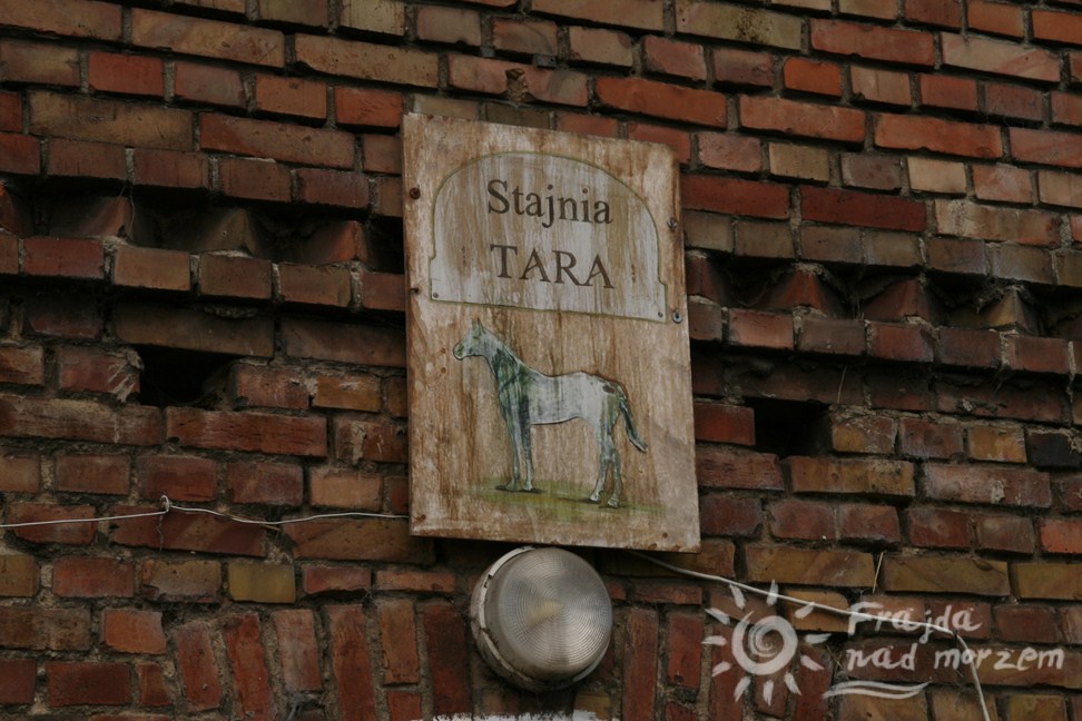 Stajnia Tara