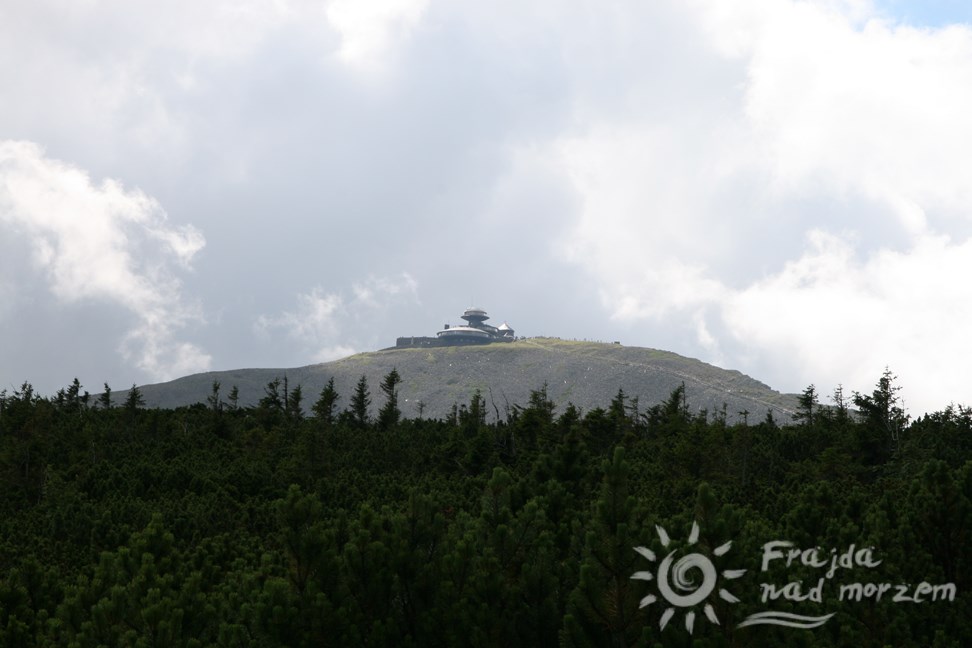 Śnieżka do zdobycia