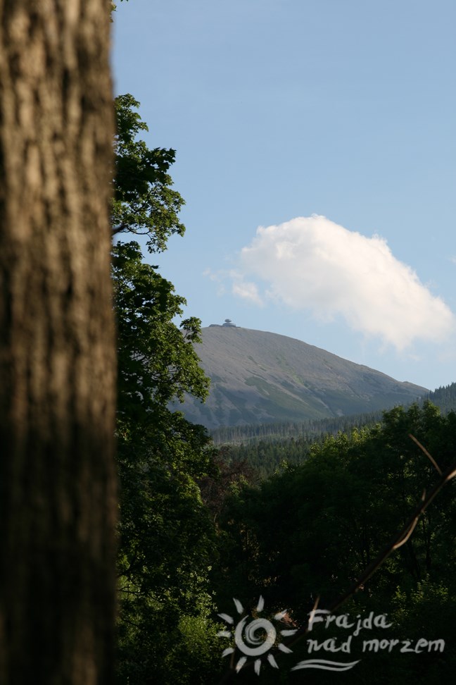 Widok na Śnieżkę