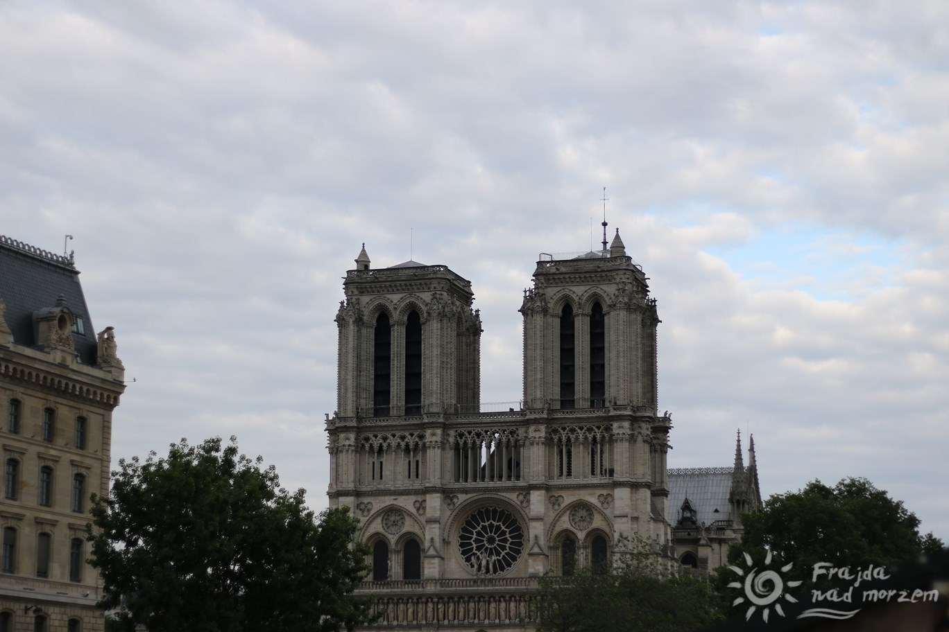 Katedra Notre Dame