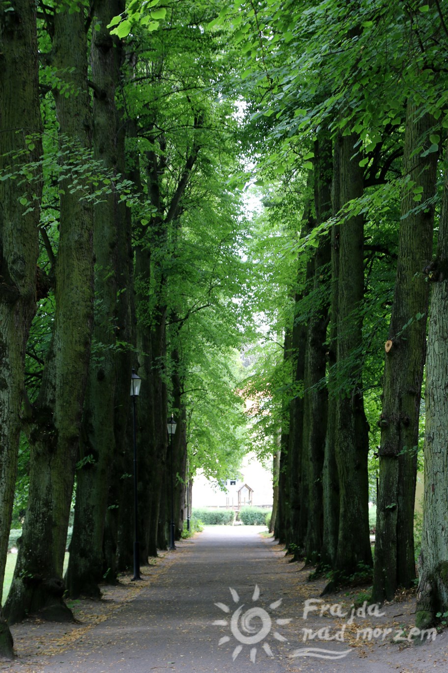 Park Oruński