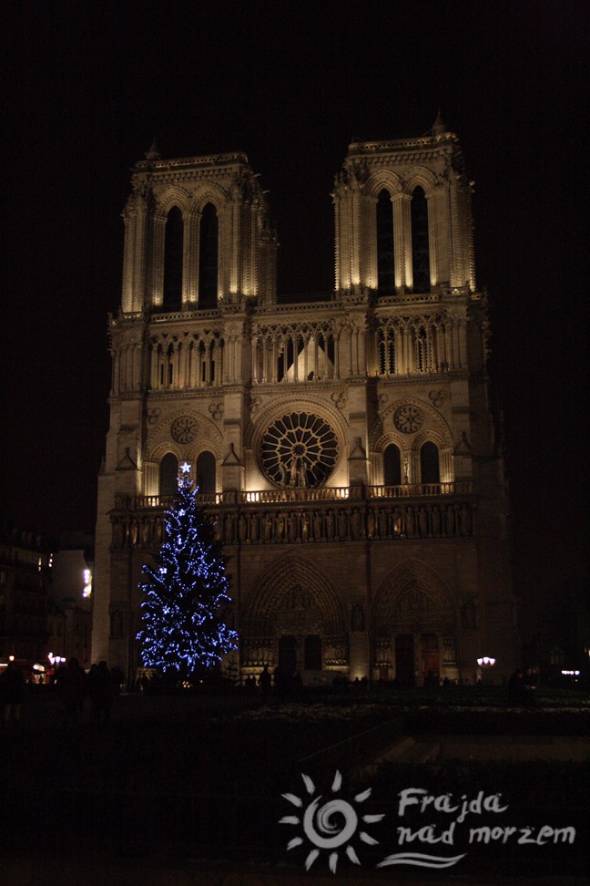 Katedra Notre Dame