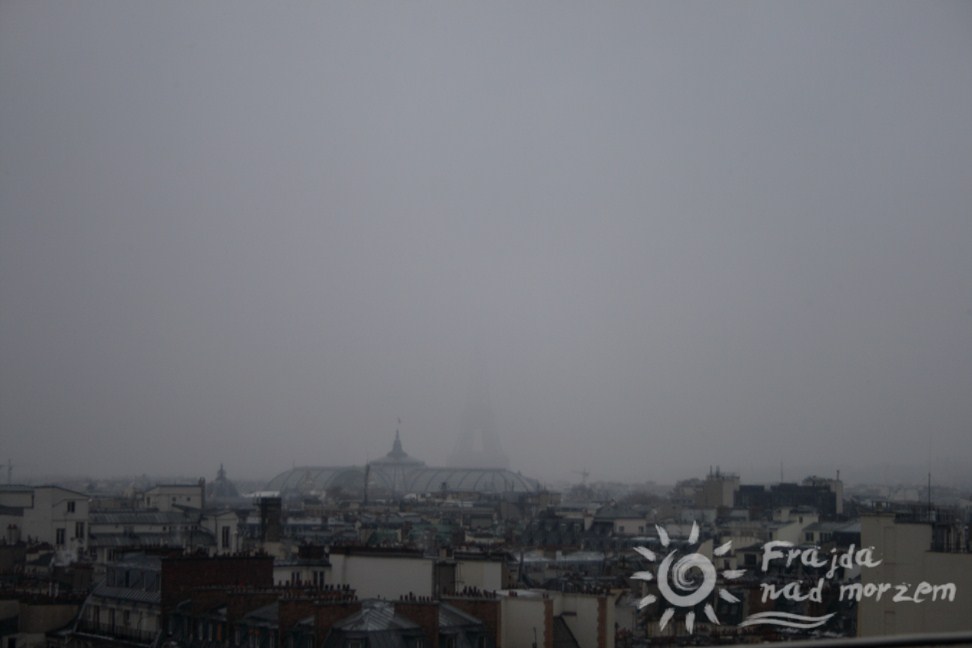 Panorama Paryża - widok z Galerii Printemps