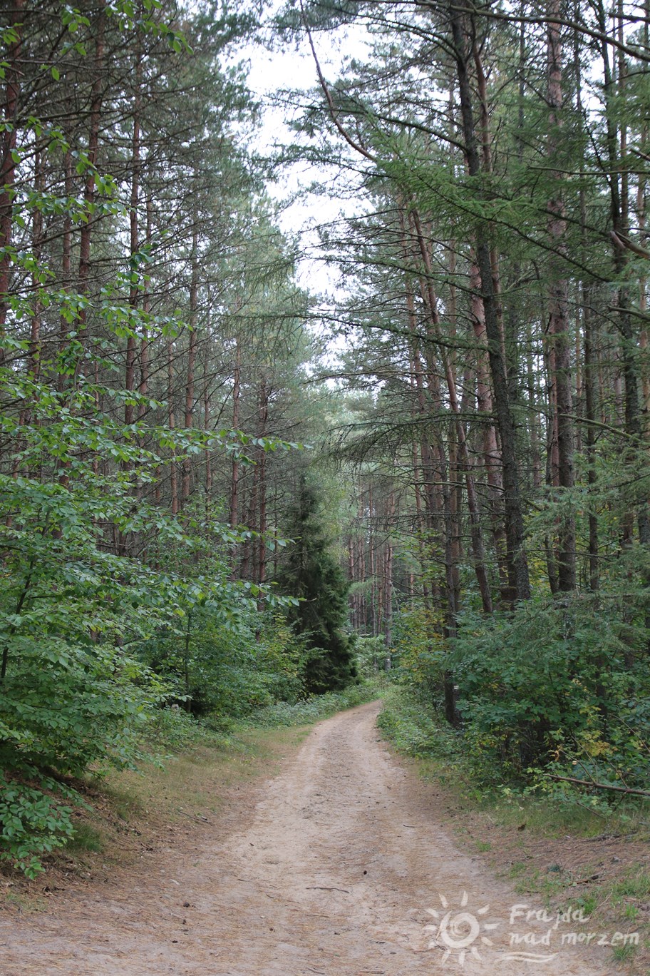 Urodziny na Górze Donas