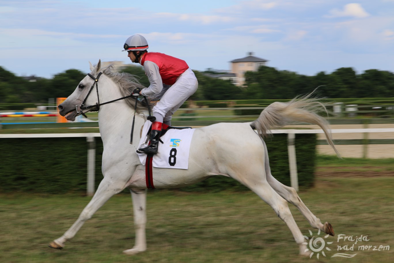 Na wyścigach konnych w Sopocie