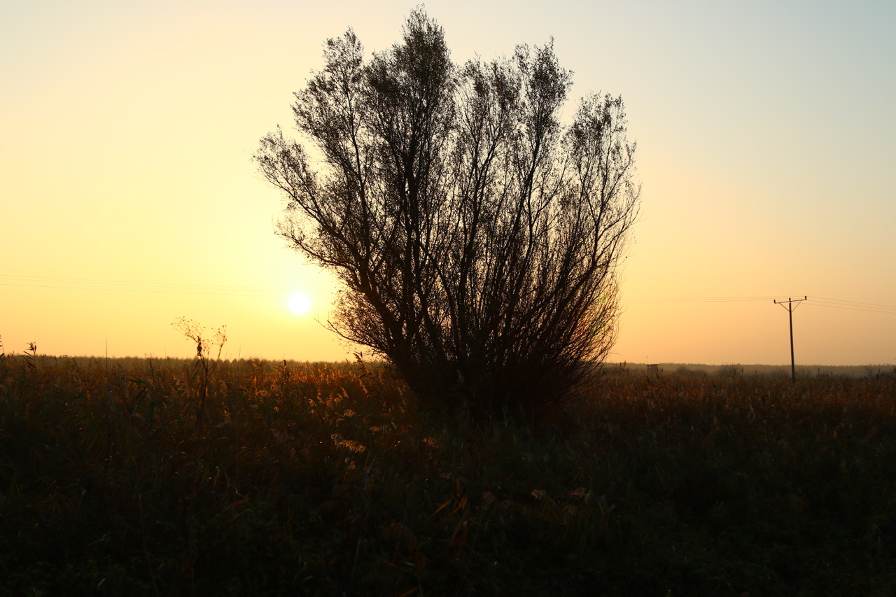 Żuławy - wschód słońca